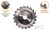 T-PTD-013_2.png