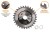 T-PTD-014_2.png