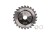 T-PTD-015_0.png