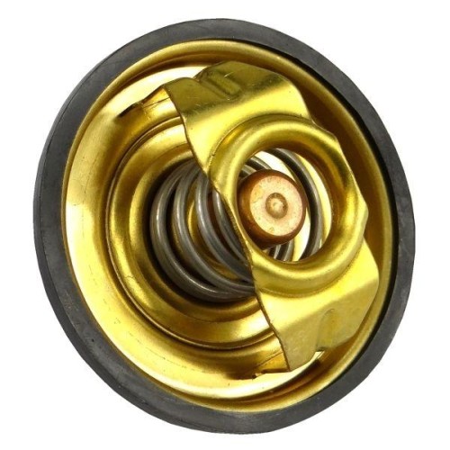 80005902.jpg