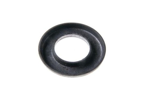 89005516.jpg