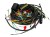 42342942PAEX_0.png