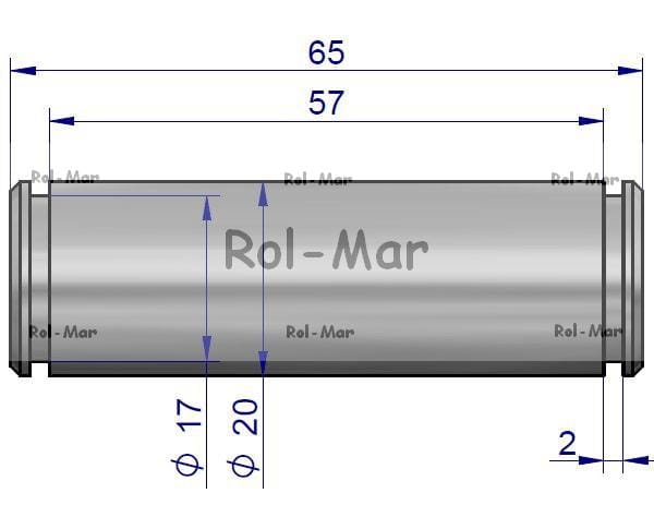 50550320.jpg