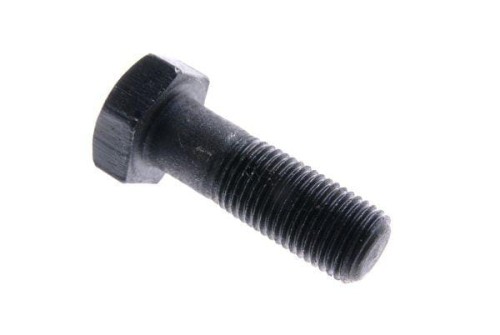 50005580.jpg
