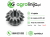 ChatGPT Image 4 lip 2026, 08_34_13.png
